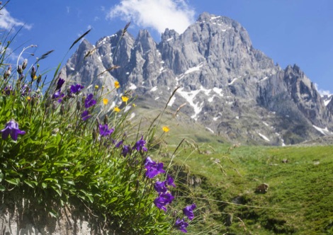 Transcaucasian Trail